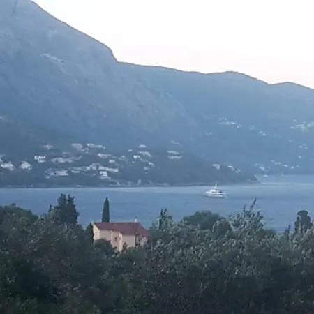 Bella Vista Lejlighed