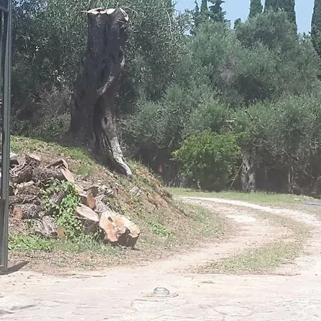 Apartamento Bella Vista Kato Korakiana